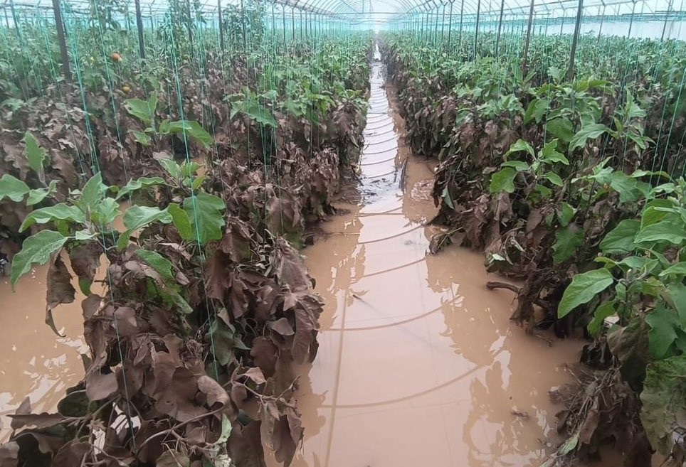 Antalya’da Taşkınların Boyutu Görünenden Daha Büyük (1)İi̇i̇