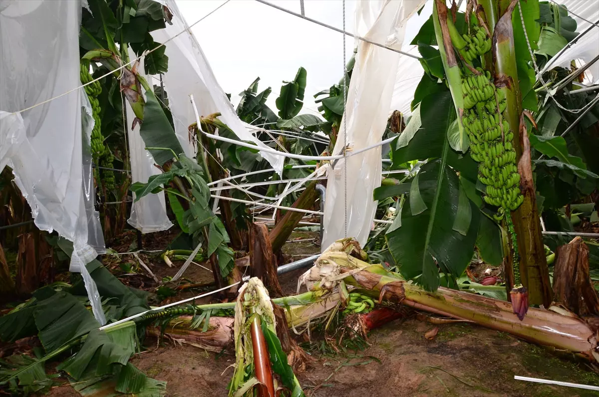 Antalya’da Zarar Gören Çiftçiler Için Önemli Çağrı (1)-1