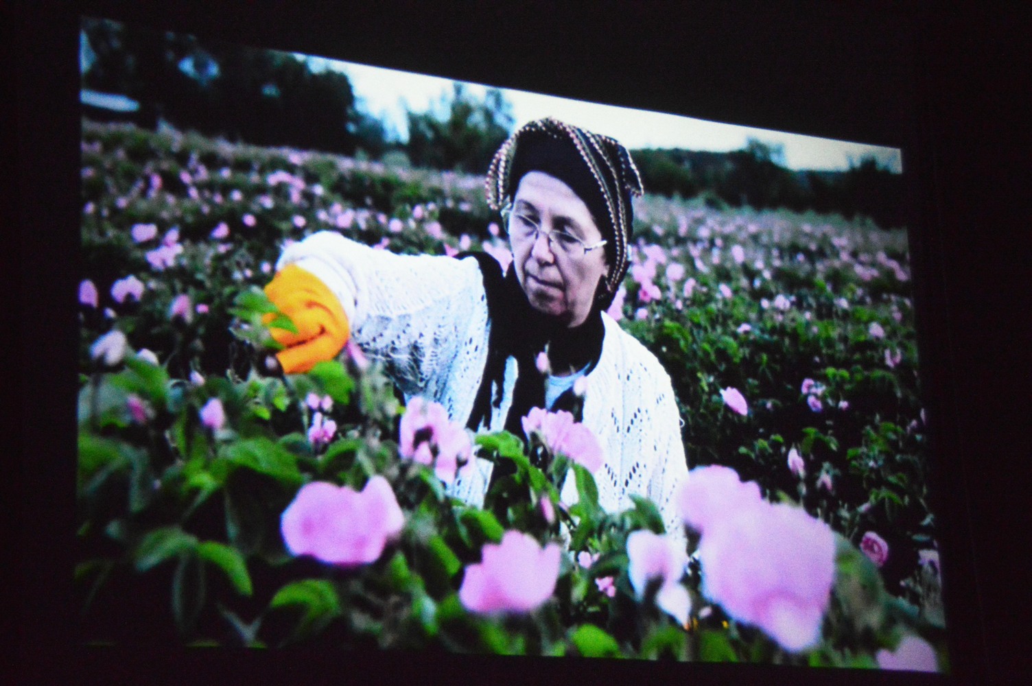 Antalya'daki Fotoğraflar Büyüledi (3)