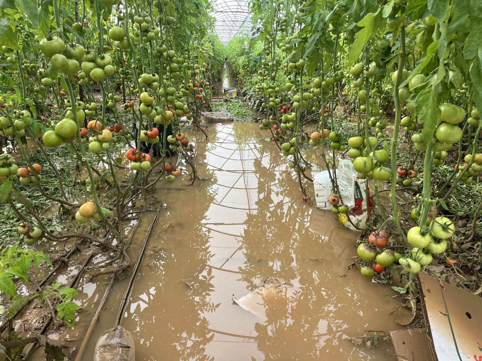 Antalya’daki Hortum Ve Selin Bedeli Ağır Oldu (3)