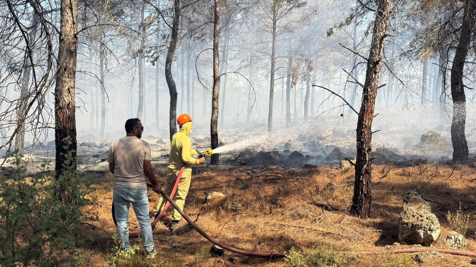 Antalya’daki Orman Yangınlarında Korkutan Rapor (2)