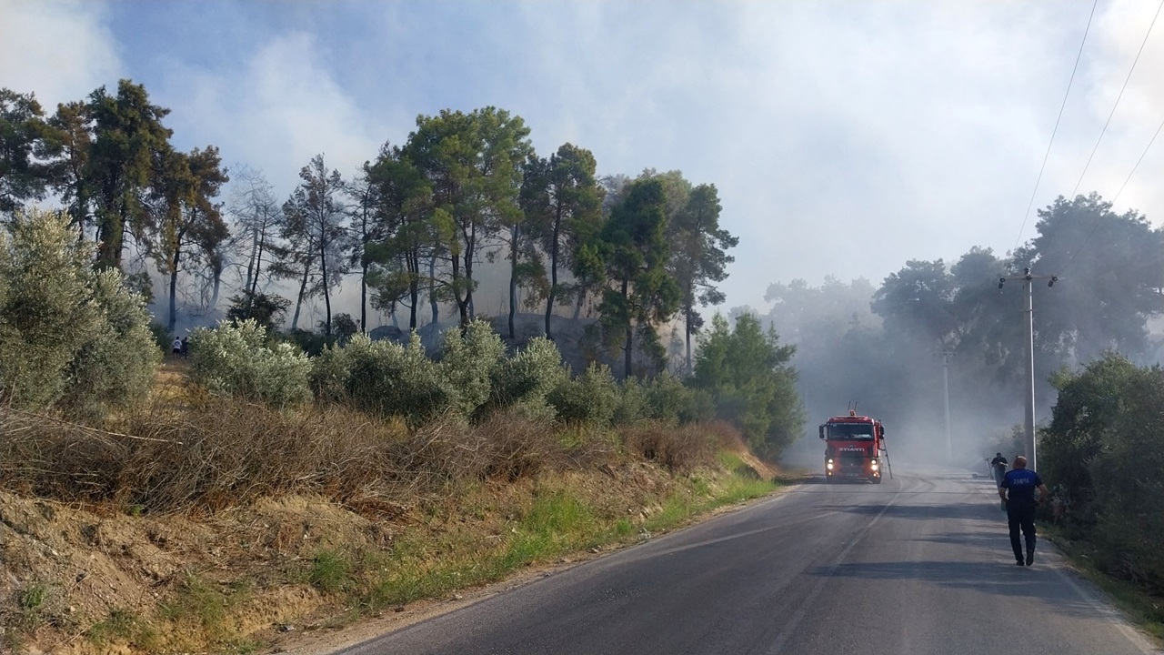 Antalya’daki Orman Yangınlarında Korkutan Rapor (4)