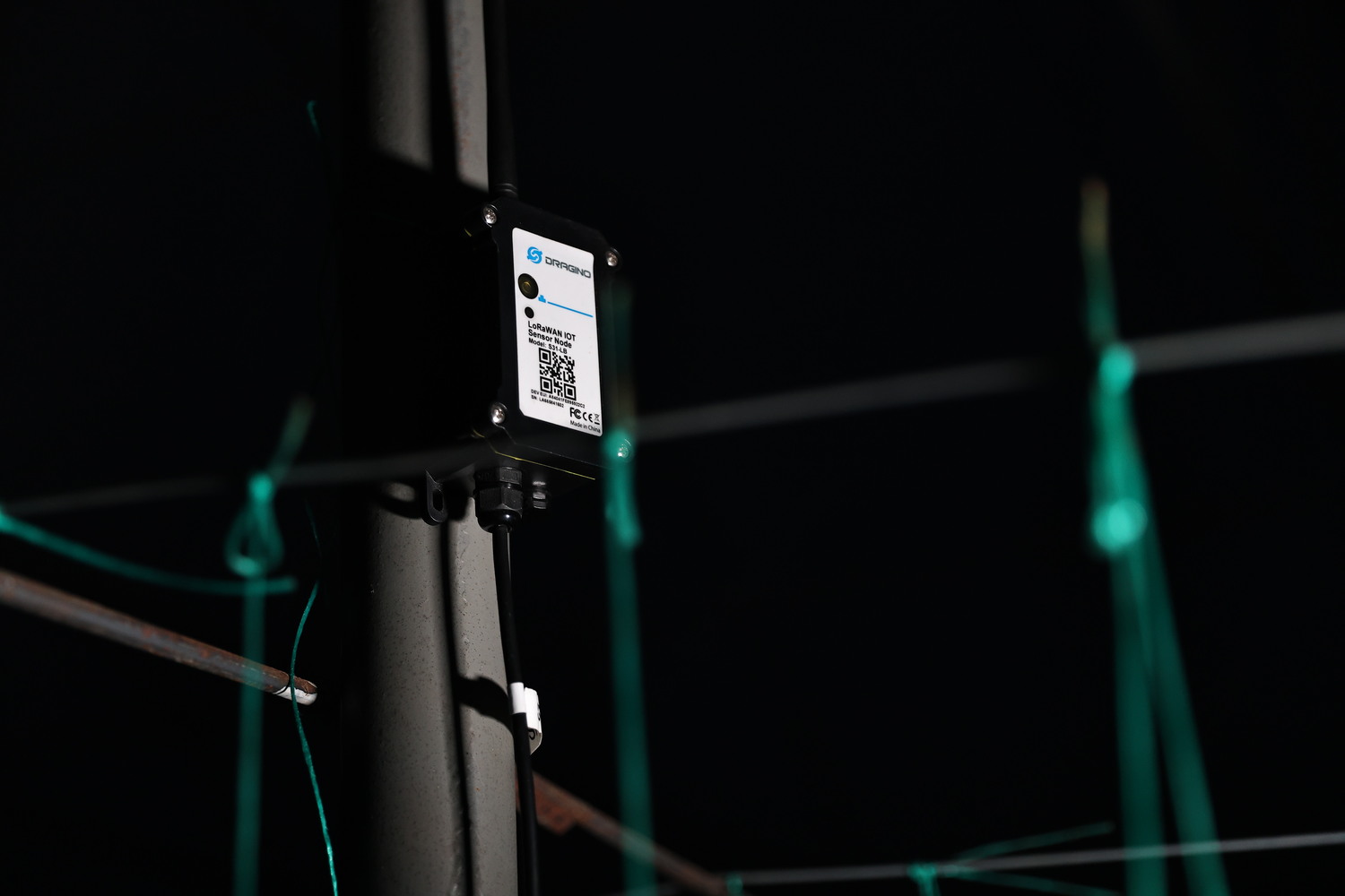 Antalya’daki Proje Üreticinin Don Sorununu Bitirdi (4)