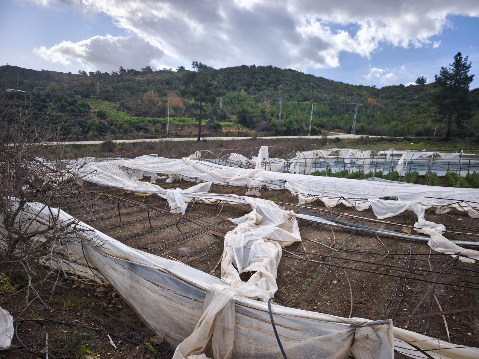 Antalya’daki Tarım Felaketi Tbmm Gündeminde (1)