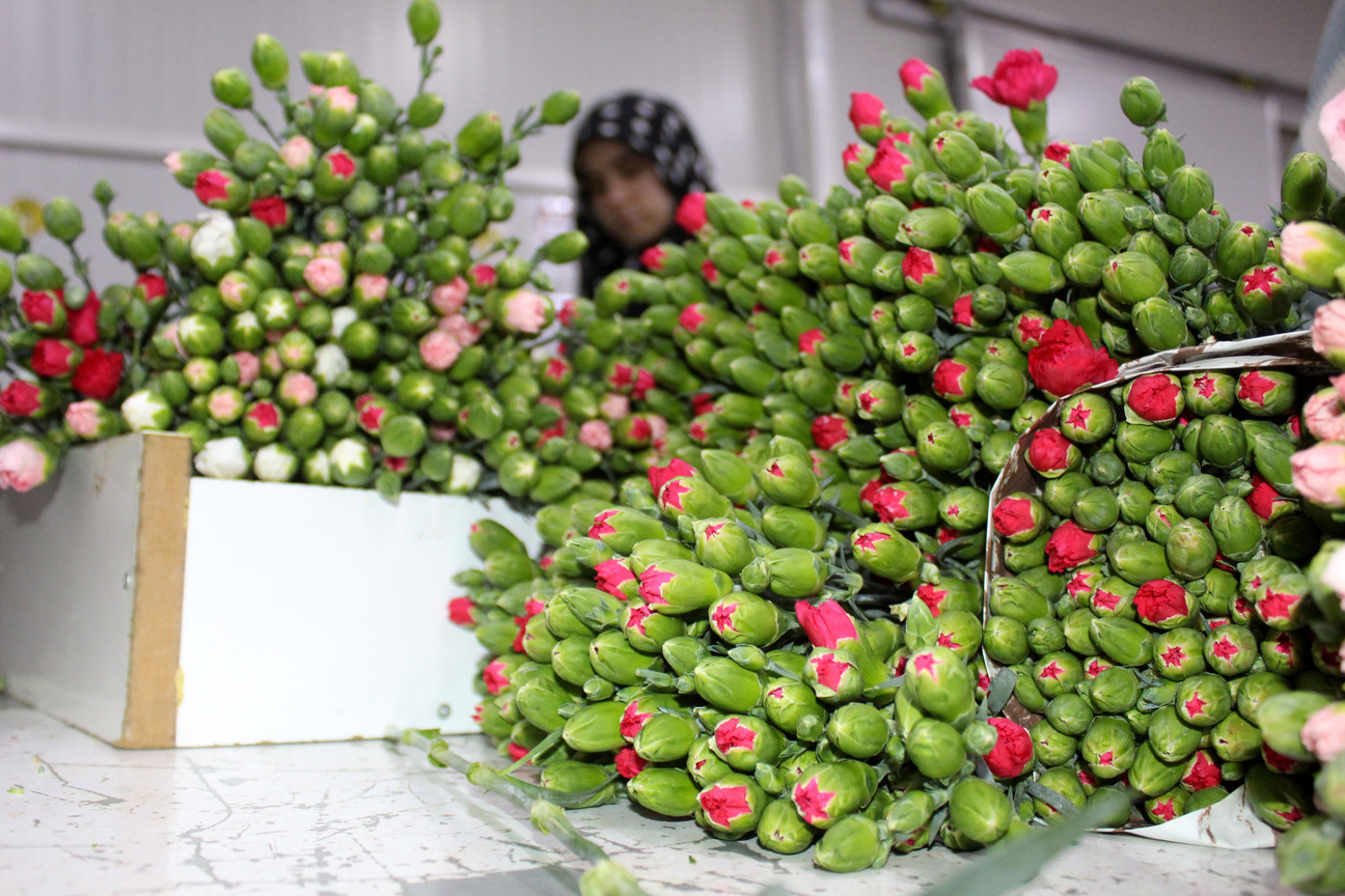 Antalya’nın Firmaları Dünyayı Renklendirdi (3)