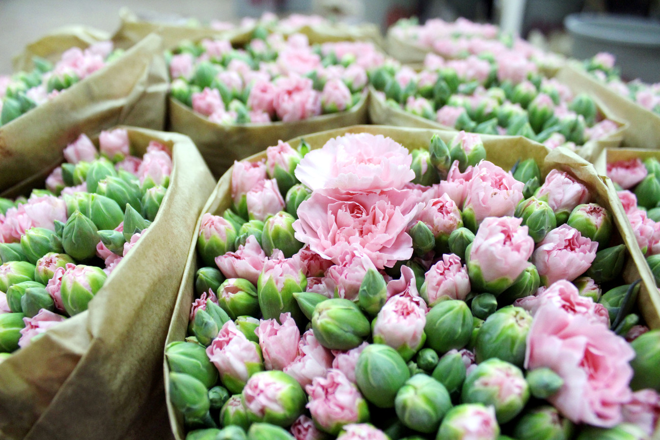 Antalya’nın Firmaları Dünyayı Renklendirdi (4)