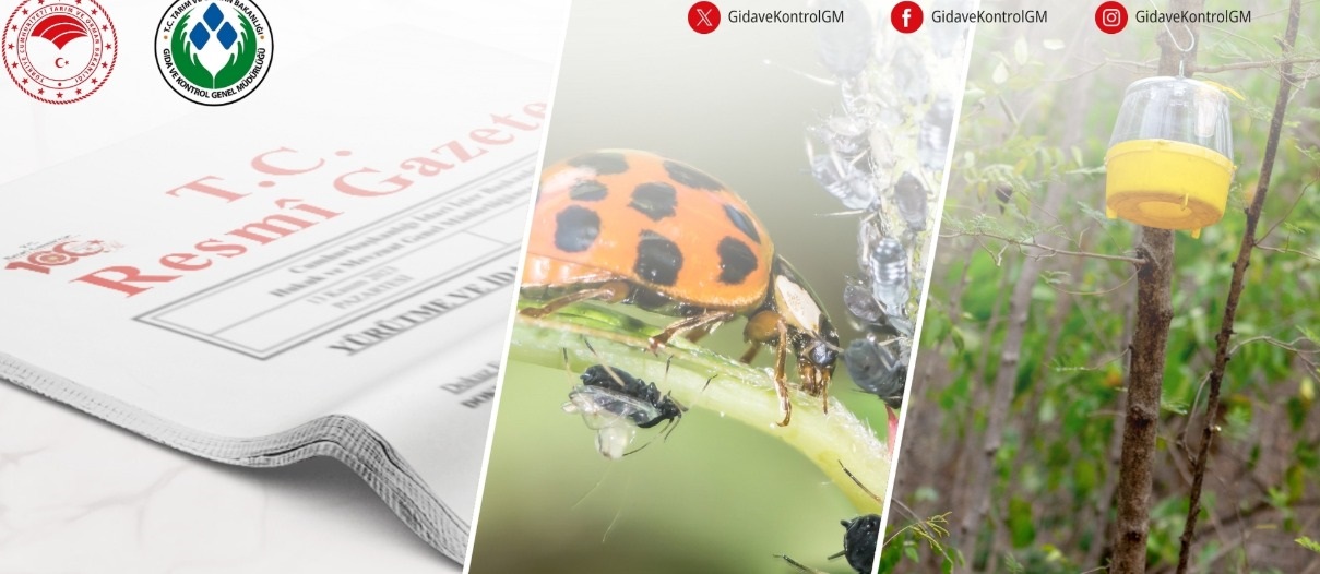 Antalya’nın Kadın Başkanından B Reçete Çıkışı (1)İi̇i̇i̇