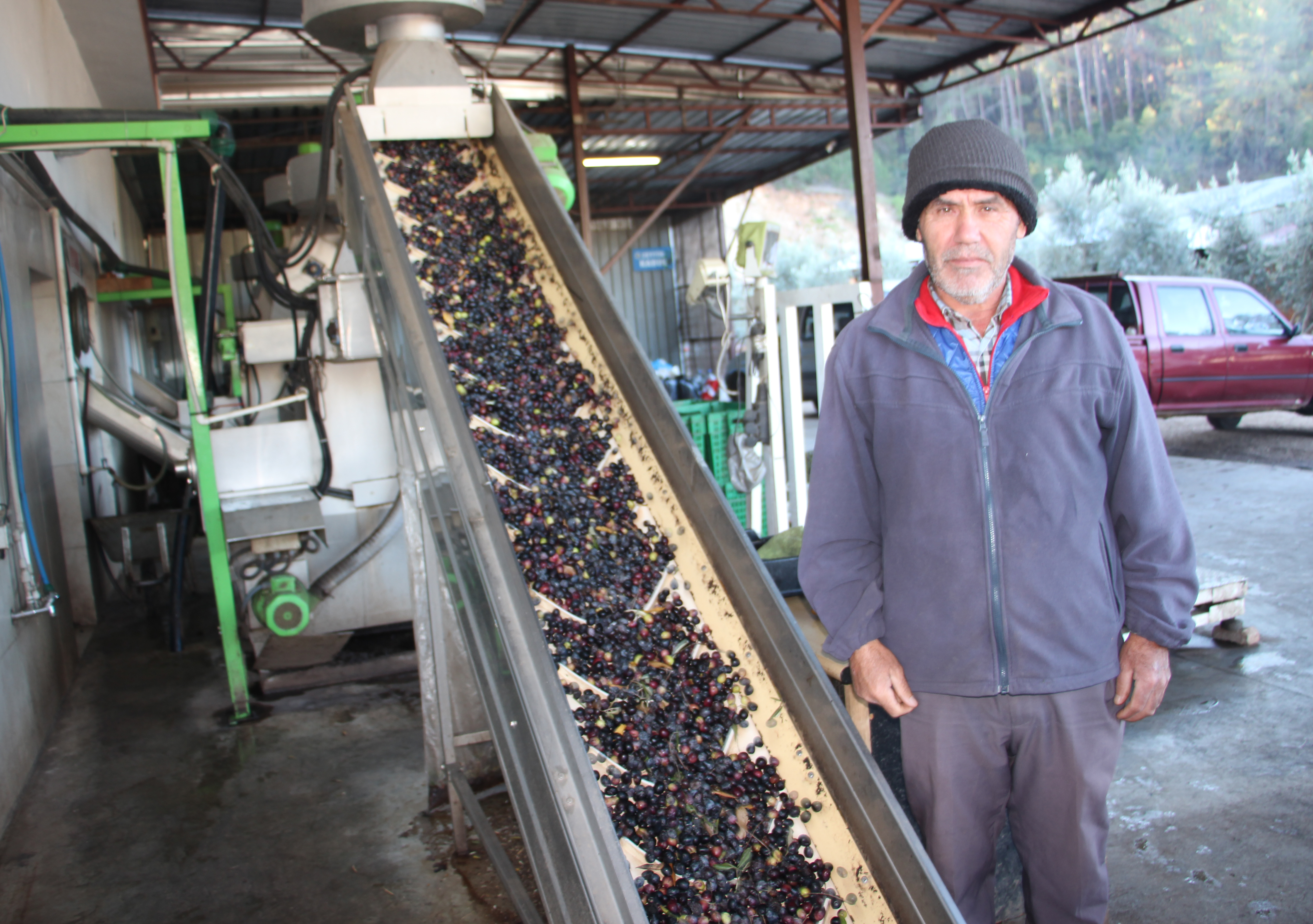 Antalya’nın Kumluca Ilçesi Zeytinyağı Deposuna Döndü (4)