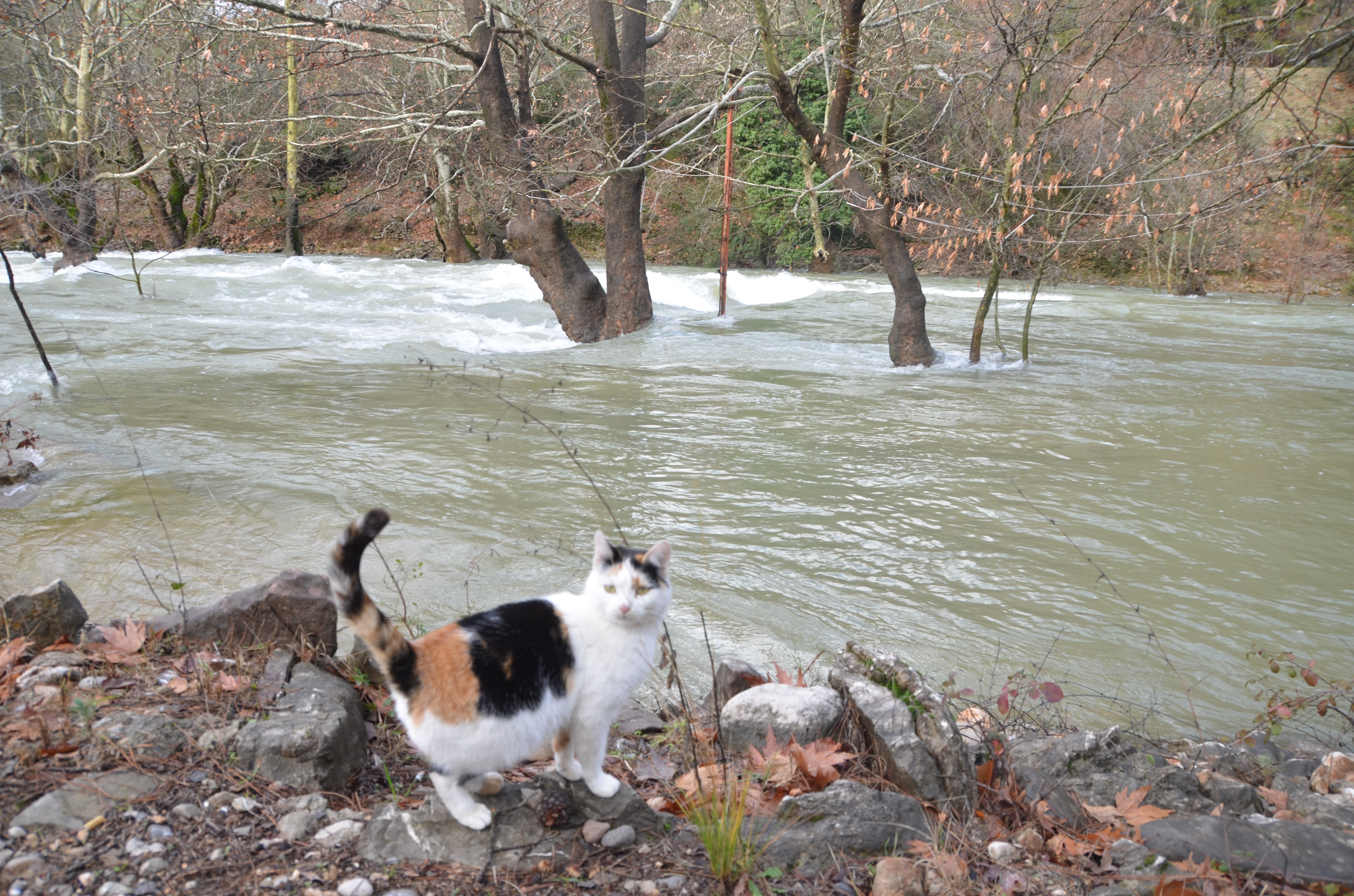 Antalya’ya Bereket Yağdı Şelaleler Coştu (2)