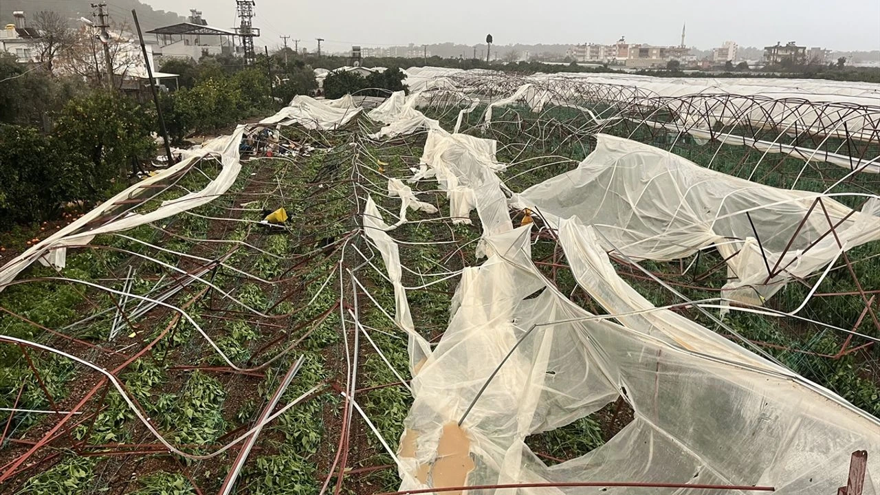 Aykut Kaya Kumluca (2)