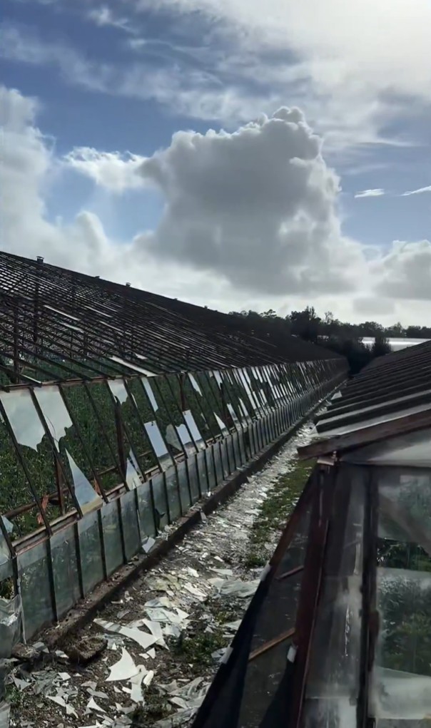 Aykut Kaya Tarsim (1)-1