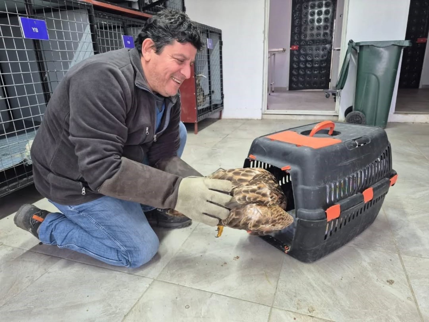 Belediyenin Projesi Yaban Hayvanlarına Umut Oldu (2)