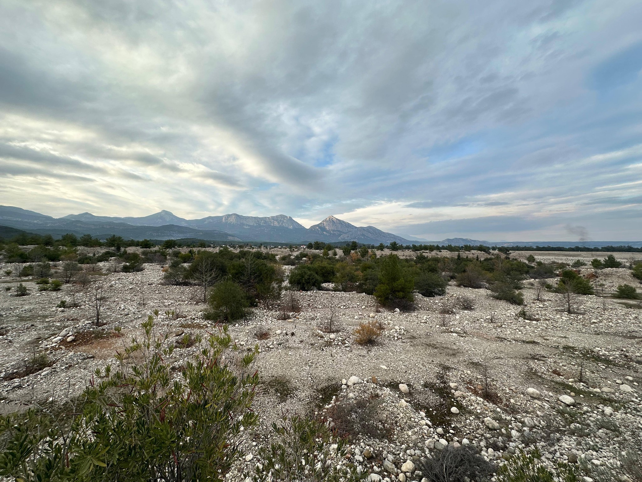 Bogacayi Toki Cavit Ari (2)