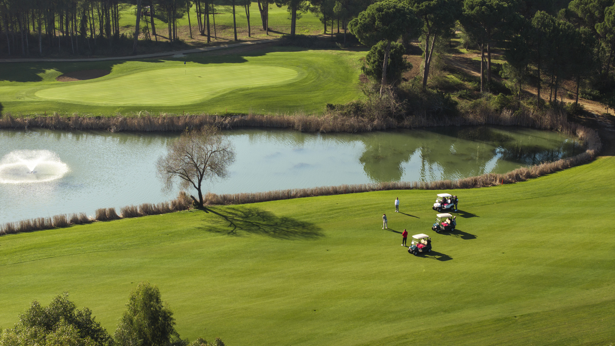 Cornelia Masters (2)