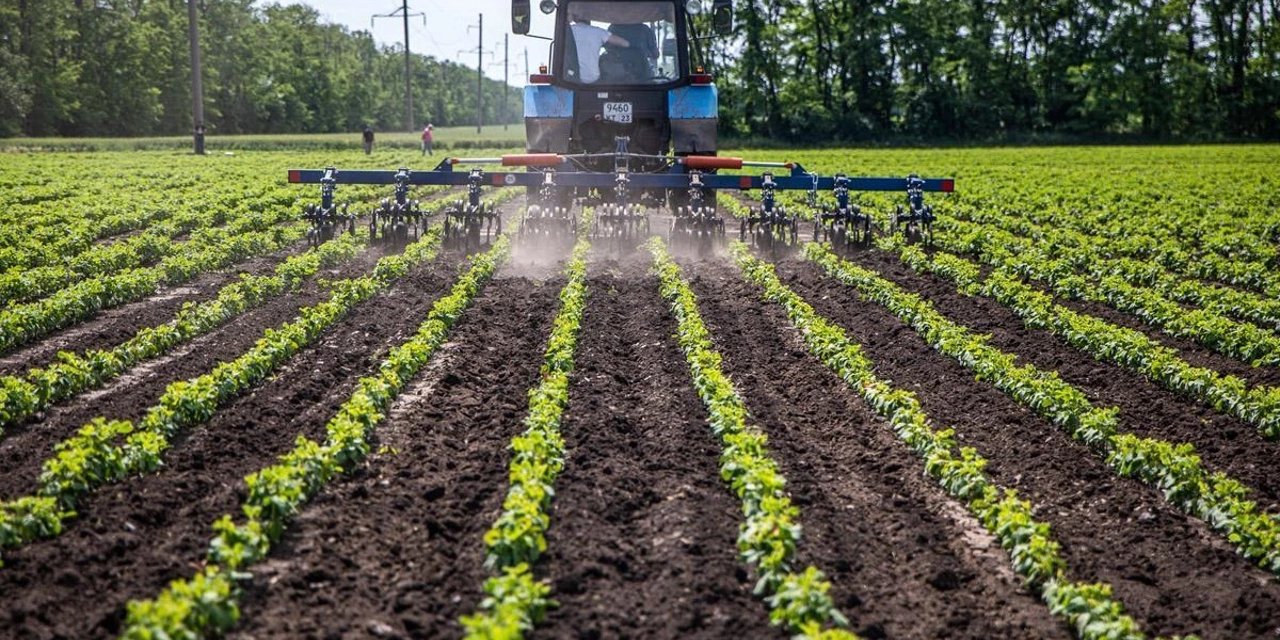 Gıda Ihracatında Pestisit Alarmı Türkiye, Avrupa Listesinde Ikinci Sırada (3)