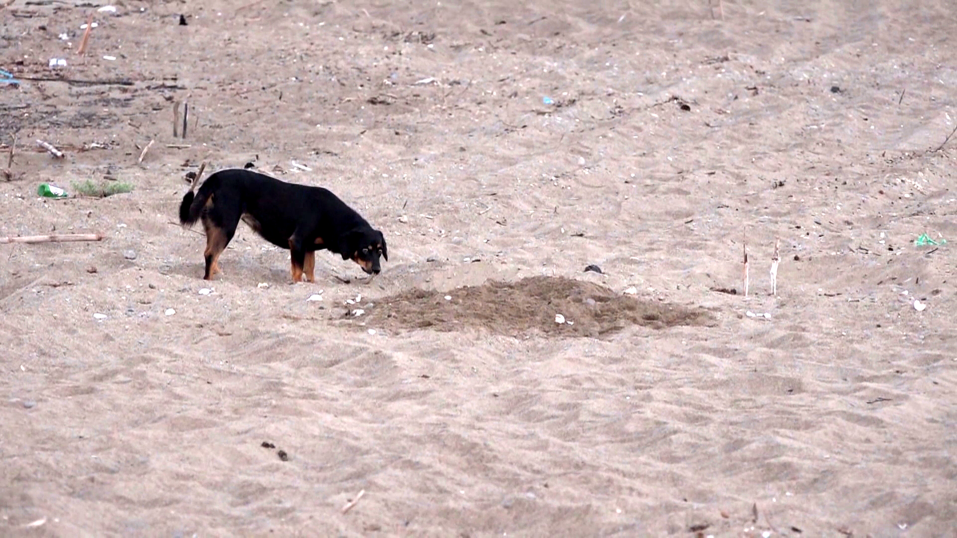 H E R 10 C A R E T T A Y U V A S I N D A N 1 I T A H R I P O L D 1093758 324664