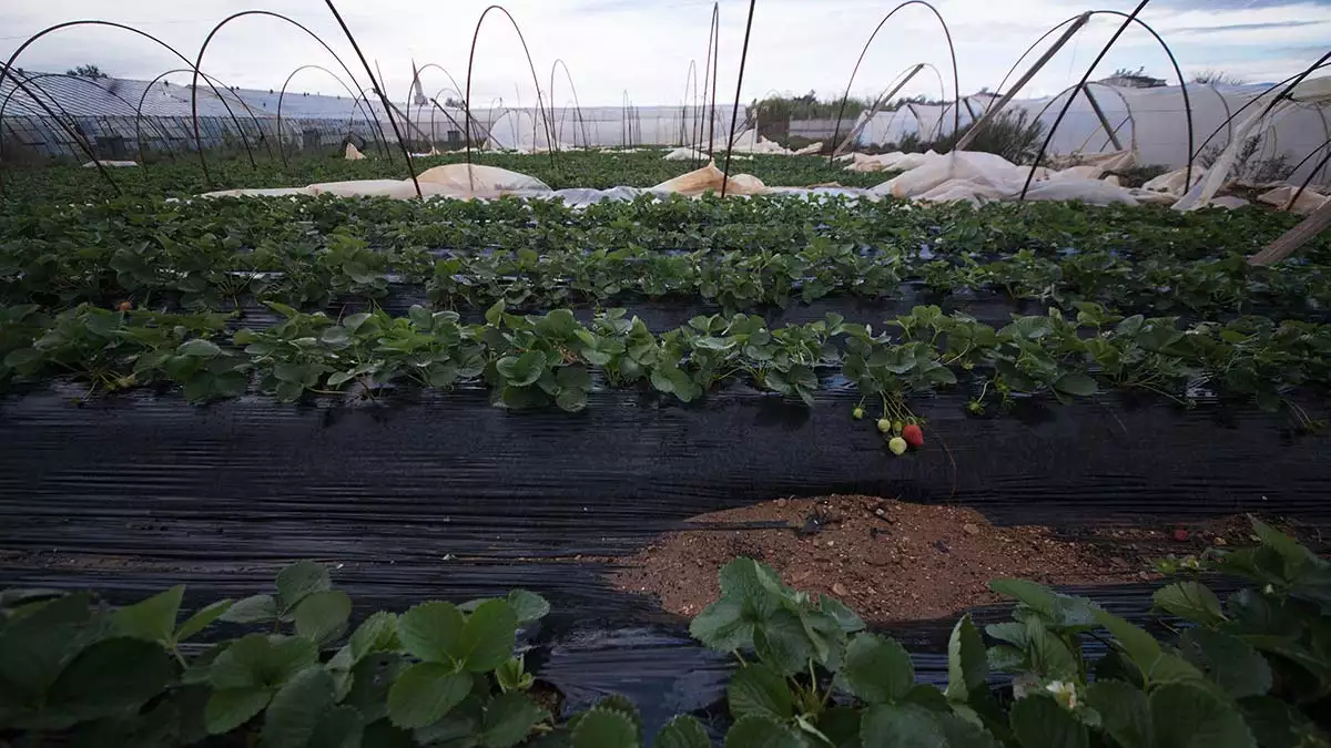 İyi̇ Parti’nden Antalya’daki Sel Felaketi Için Tbmm’ye Kanun Teklifi (4)