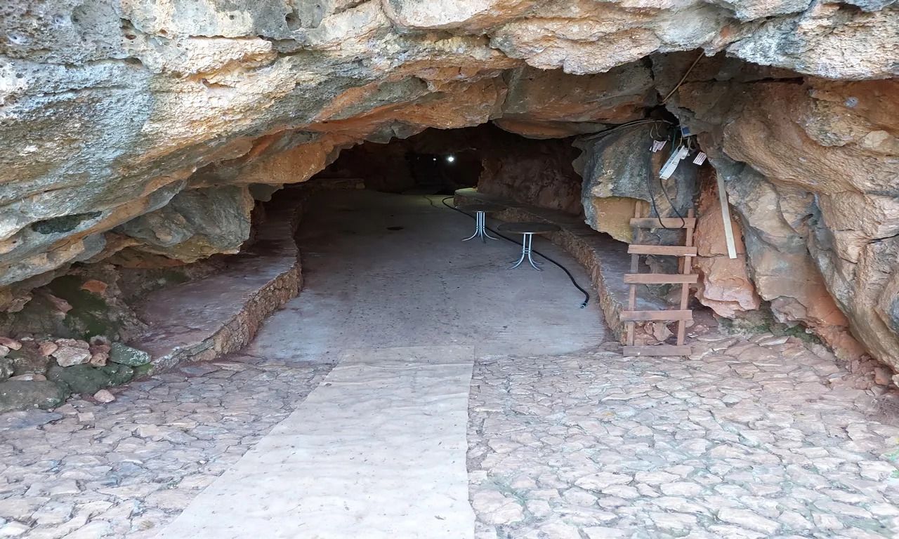 Karatas Magarasi Tekno Parti (1)-1