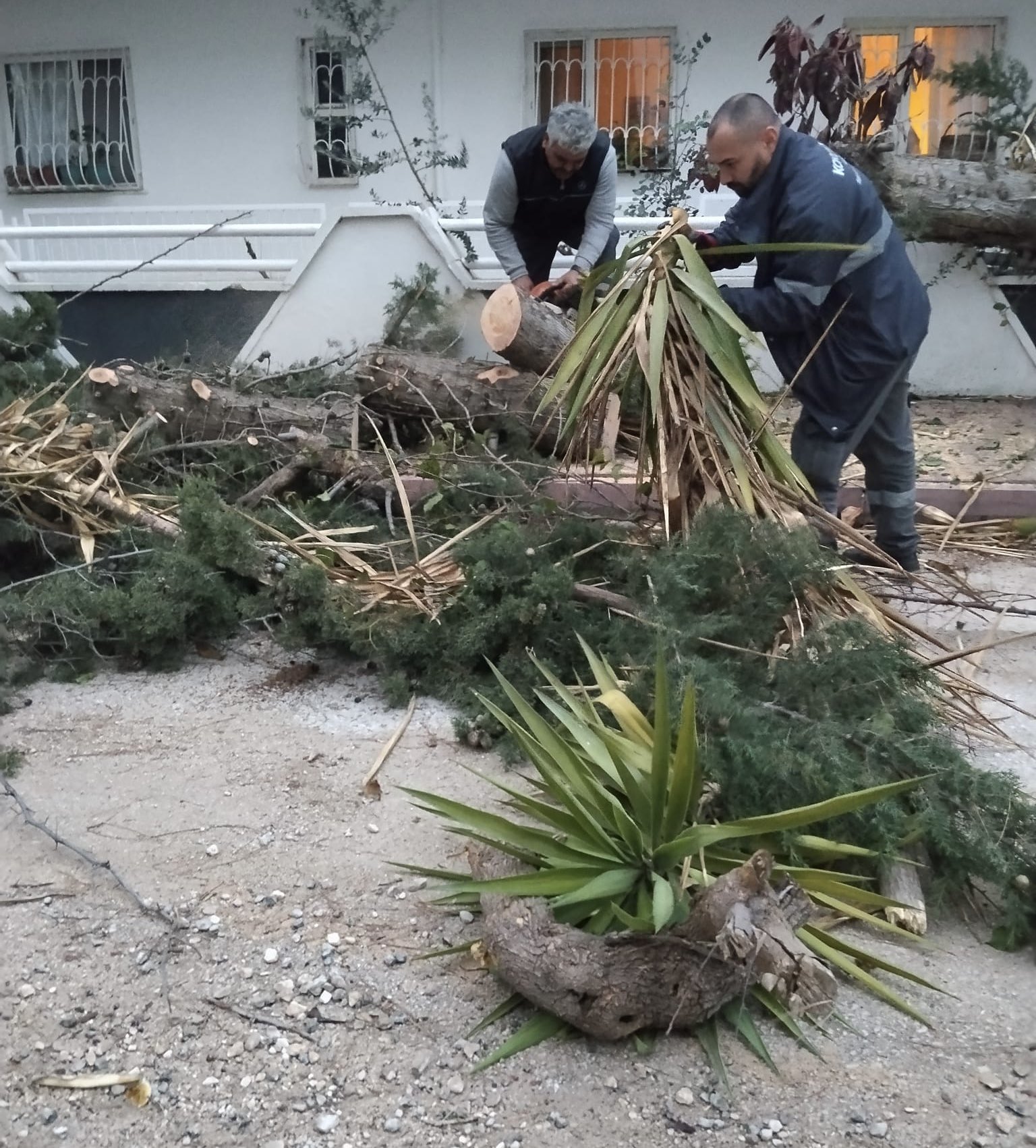 Konyaalti Belediyesi Firtina (5)