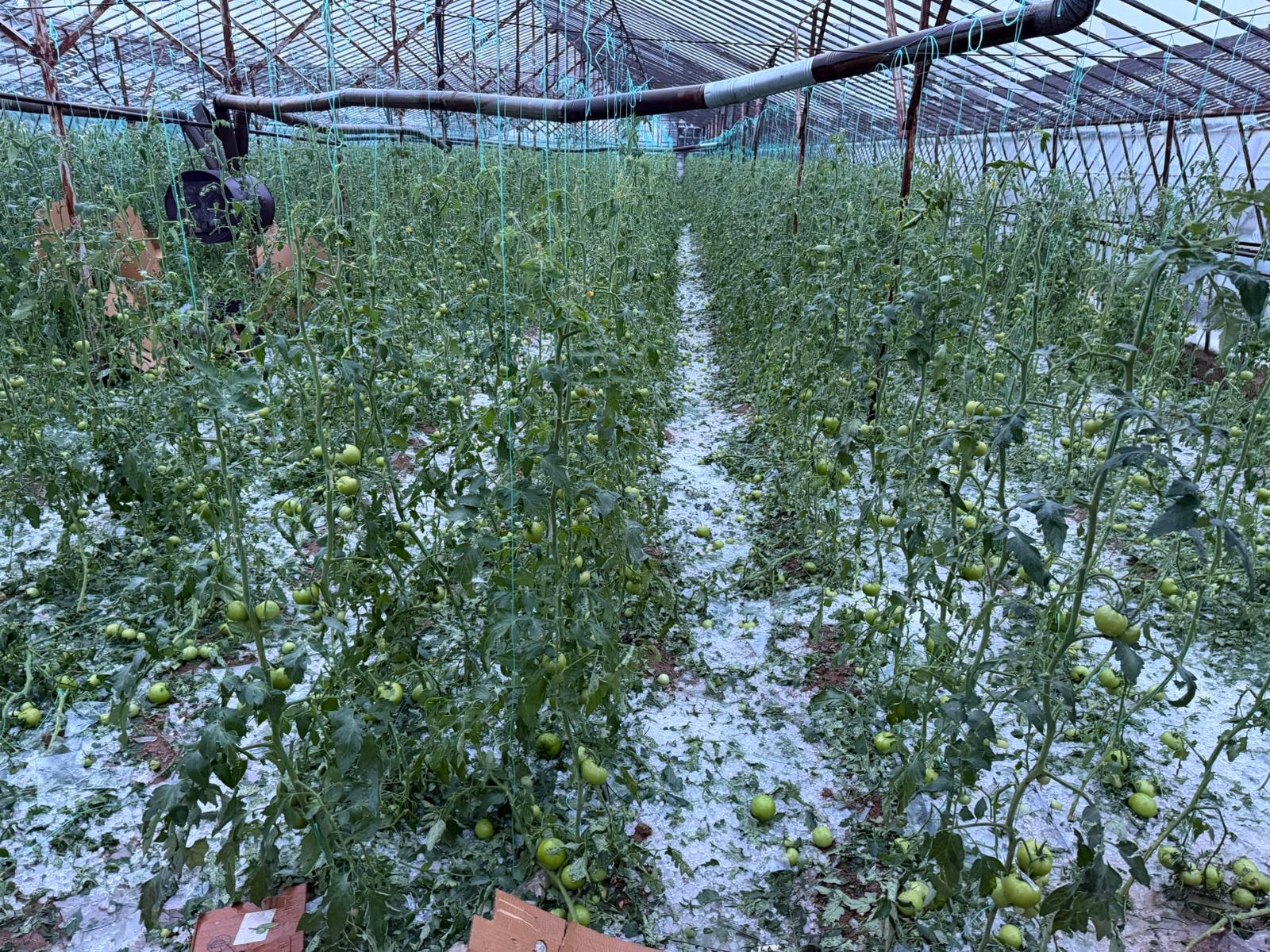 Menderes Turel Dayanisma Mesaji (4)