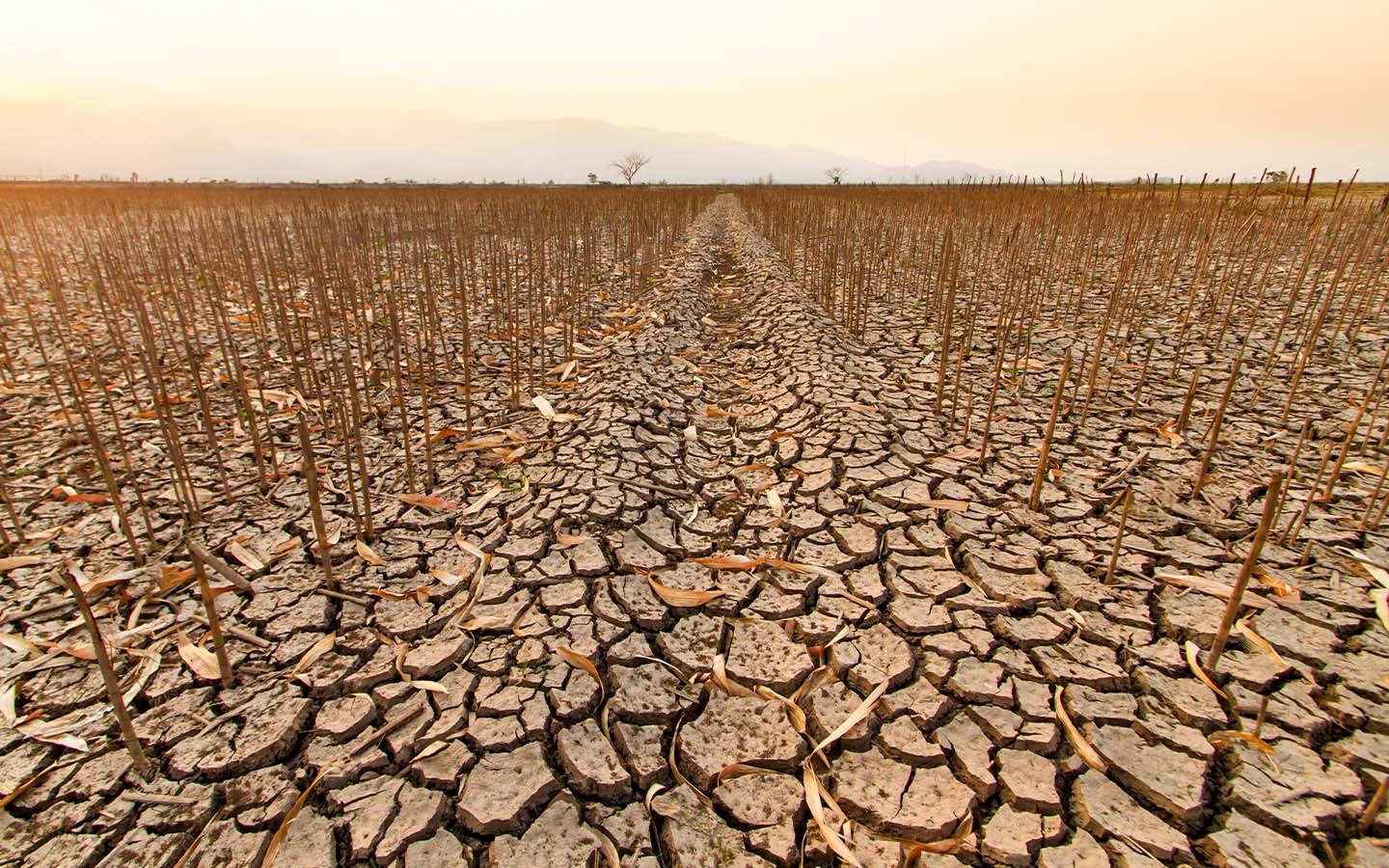 Meteorolojiden Korkutan Uyarı (1)İi̇i̇