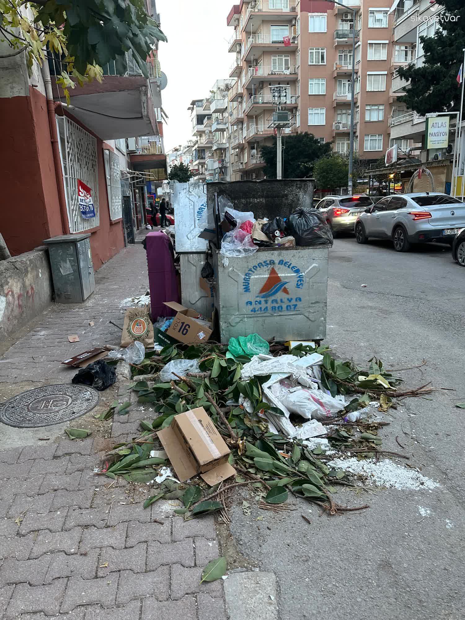 Muratpaşa’da Çevre Krizi! Mahalleli Isyan Etti (3)