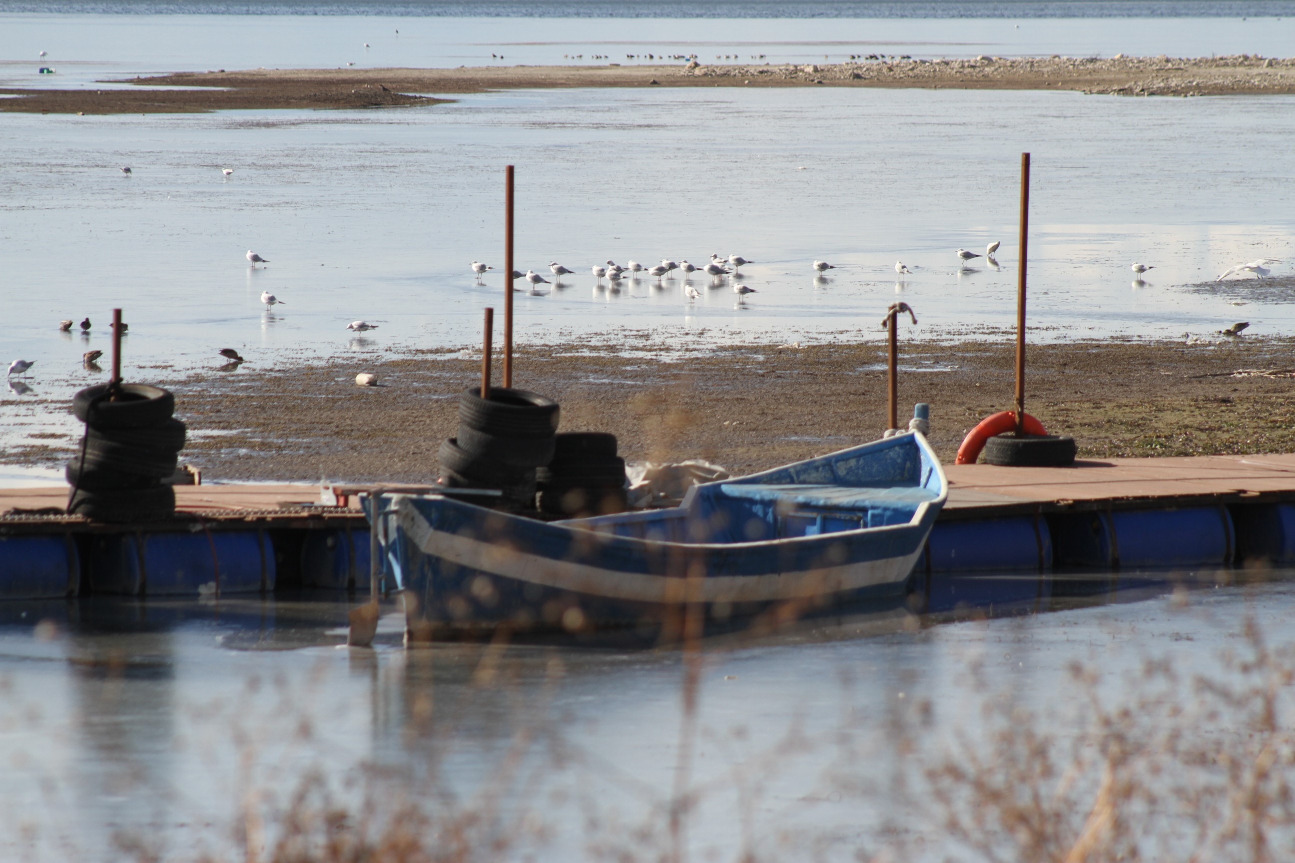Şiddetli Soğuklar Beyşehir Gölü Kıyılarının Buz Tutmasına Yol Açtı (3)