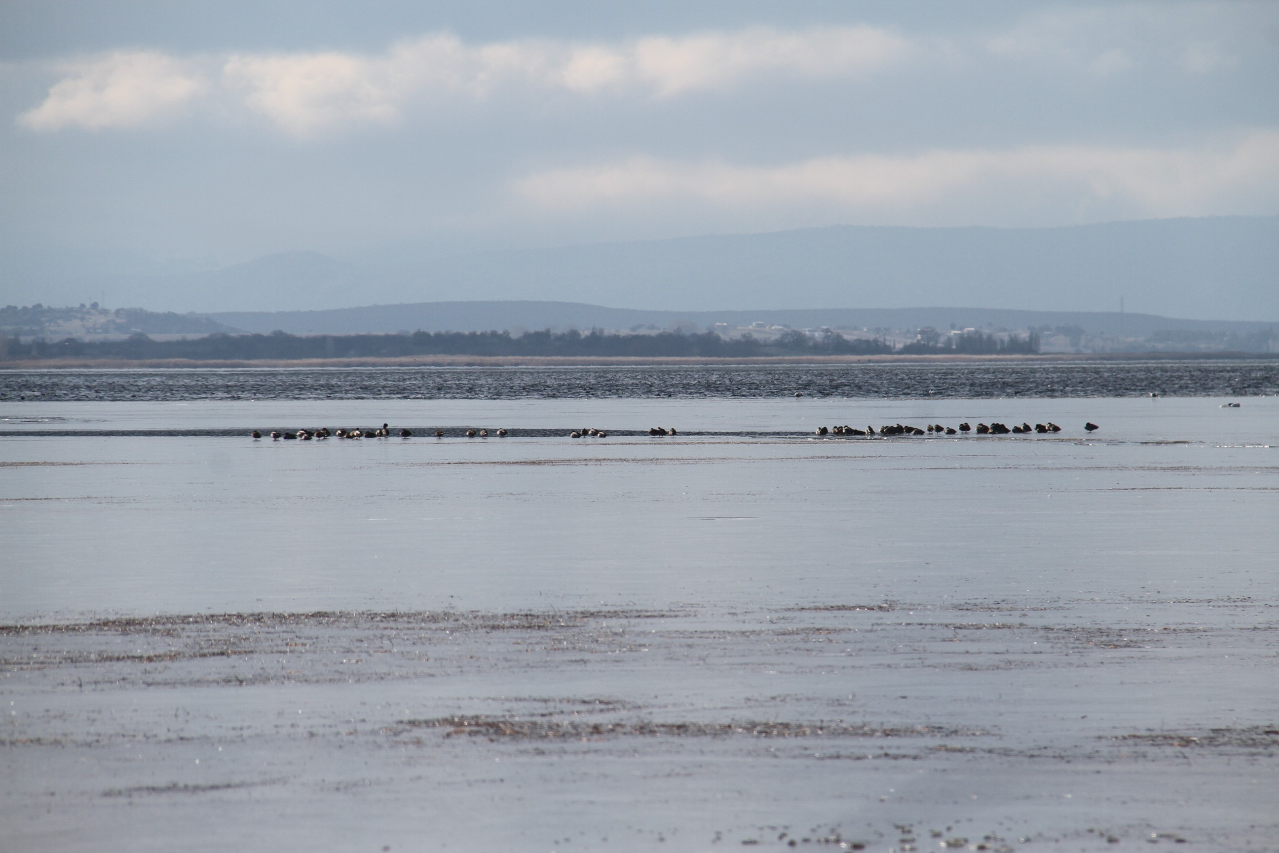 Şiddetli Soğuklar Beyşehir Gölü Kıyılarının Buz Tutmasına Yol Açtı (4)