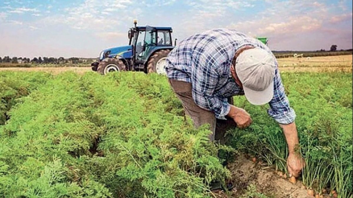 Tarımda Kriz Derinleşiyor Chp’li Arı’dan Kredi Düzenlemesine Tepki (1)-1