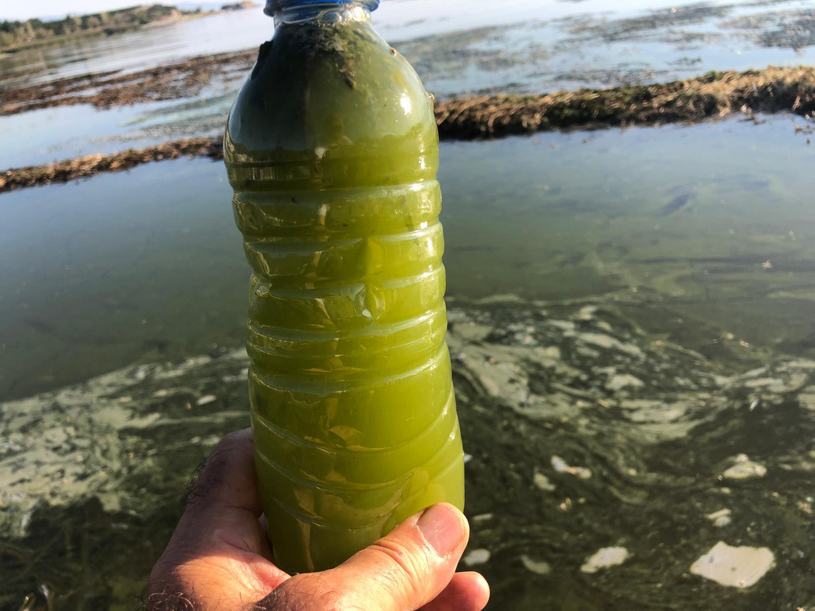 Türkiye’nin En Büyük Gölünde Korkutan Görüntü (4)