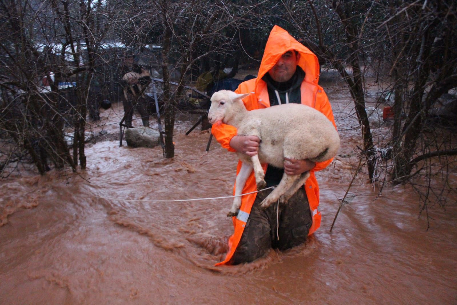 Vekil Ozdemir Saganak Bilancosu (1)