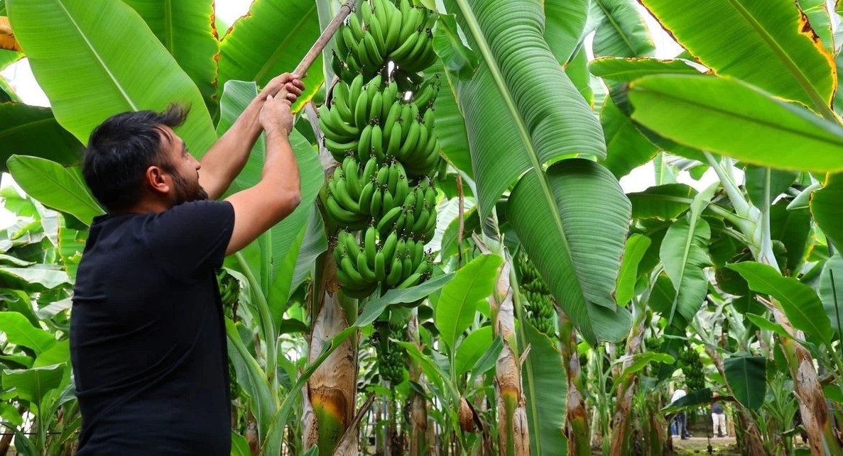Yıkım Kararı Çıkan Mühendisten Tepkisi; “Biz Yaparız, Siz Yıkarsınız!” (4)