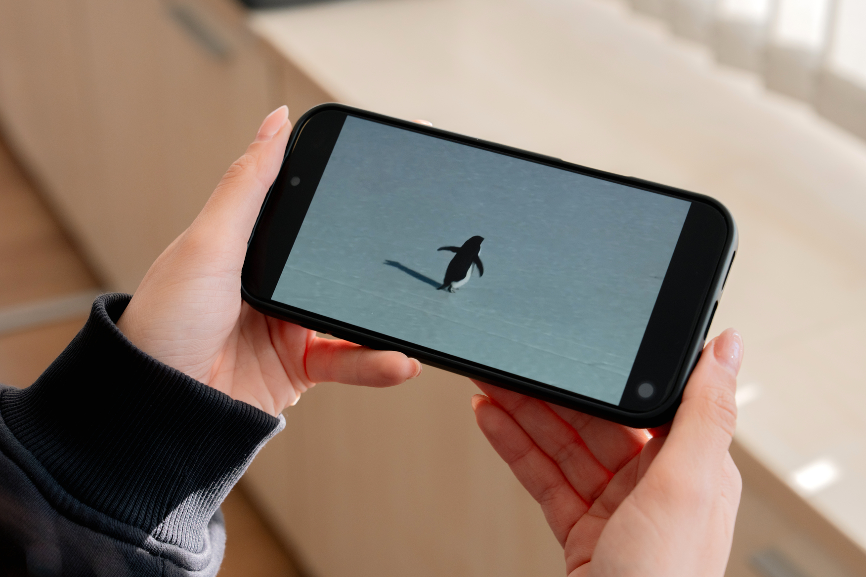 Akdeniz Üniversitesi’nden 'Nihilist Penguen’ Tespiti (3)