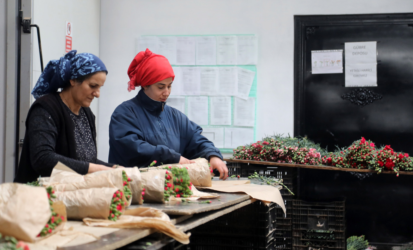 Antalya, Avrupa’daki Sevgililere Çiçek Gönderildi (3)