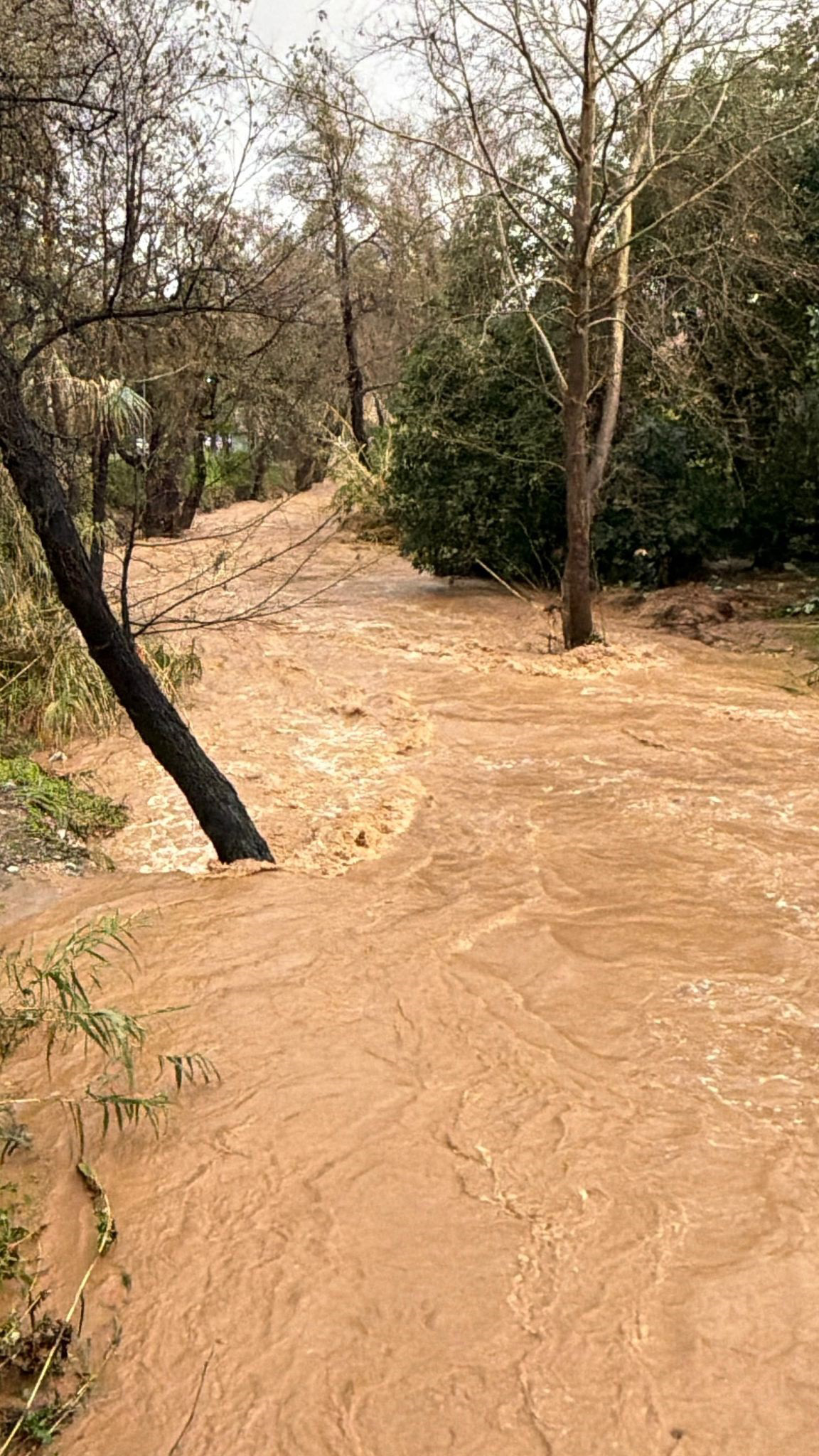 Antalya Bugün Kabusu Yaşıyor! Okullar Tatil Edildi Ilçeler Sular Altında Kaldı (15)