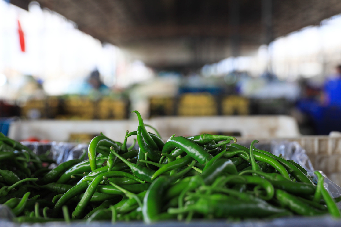 Antalya, Burdur Ve Isparta’nın Şampiyonu Biber Oldu (3)-1