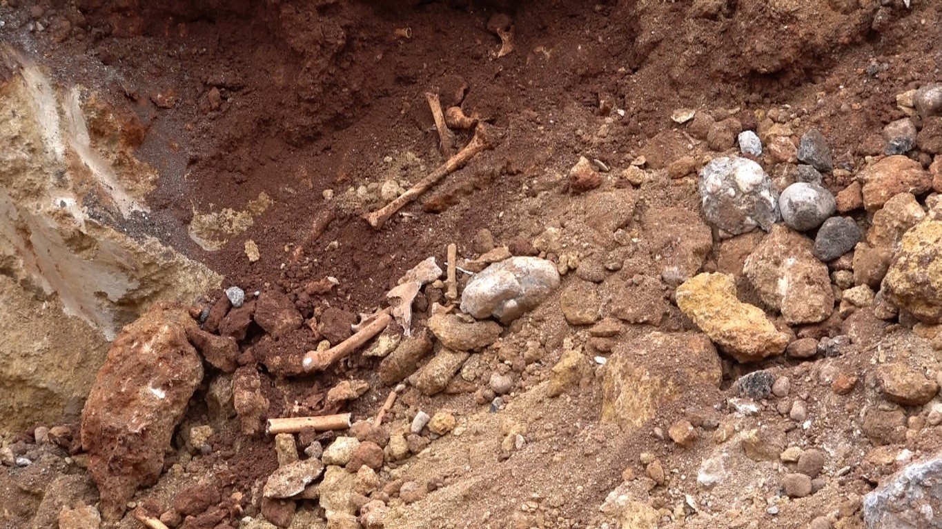 Antalya'da Belediye Kazısında Kemik Parçaları Bulundu (3)