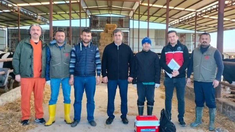 Antalya’da Büyükbaş Hayvanlara Şap Aşılaması Yapıldı (2)-1