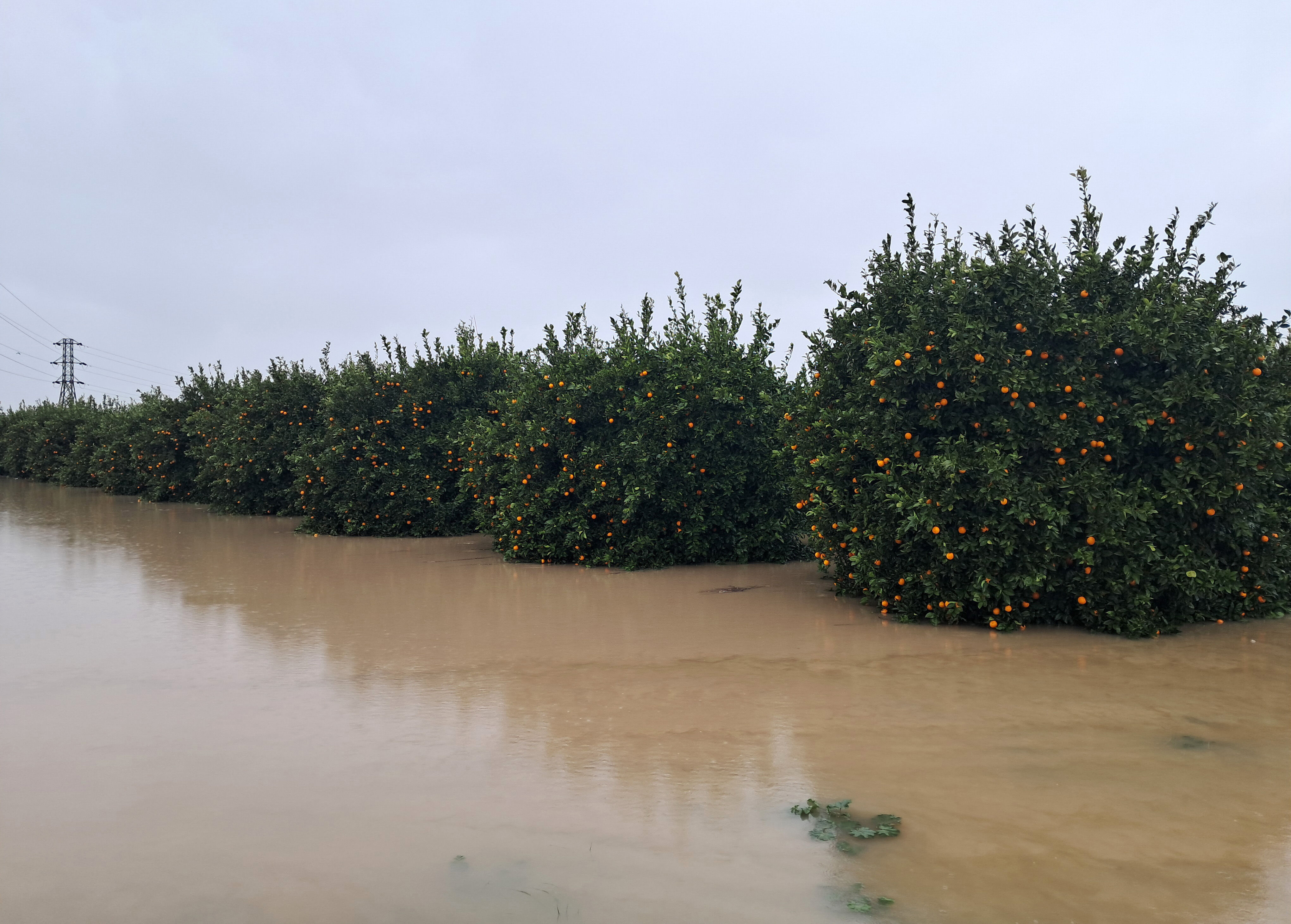 Antalya'da Fırtınanın Faturası 3 Milyar Tl (4)