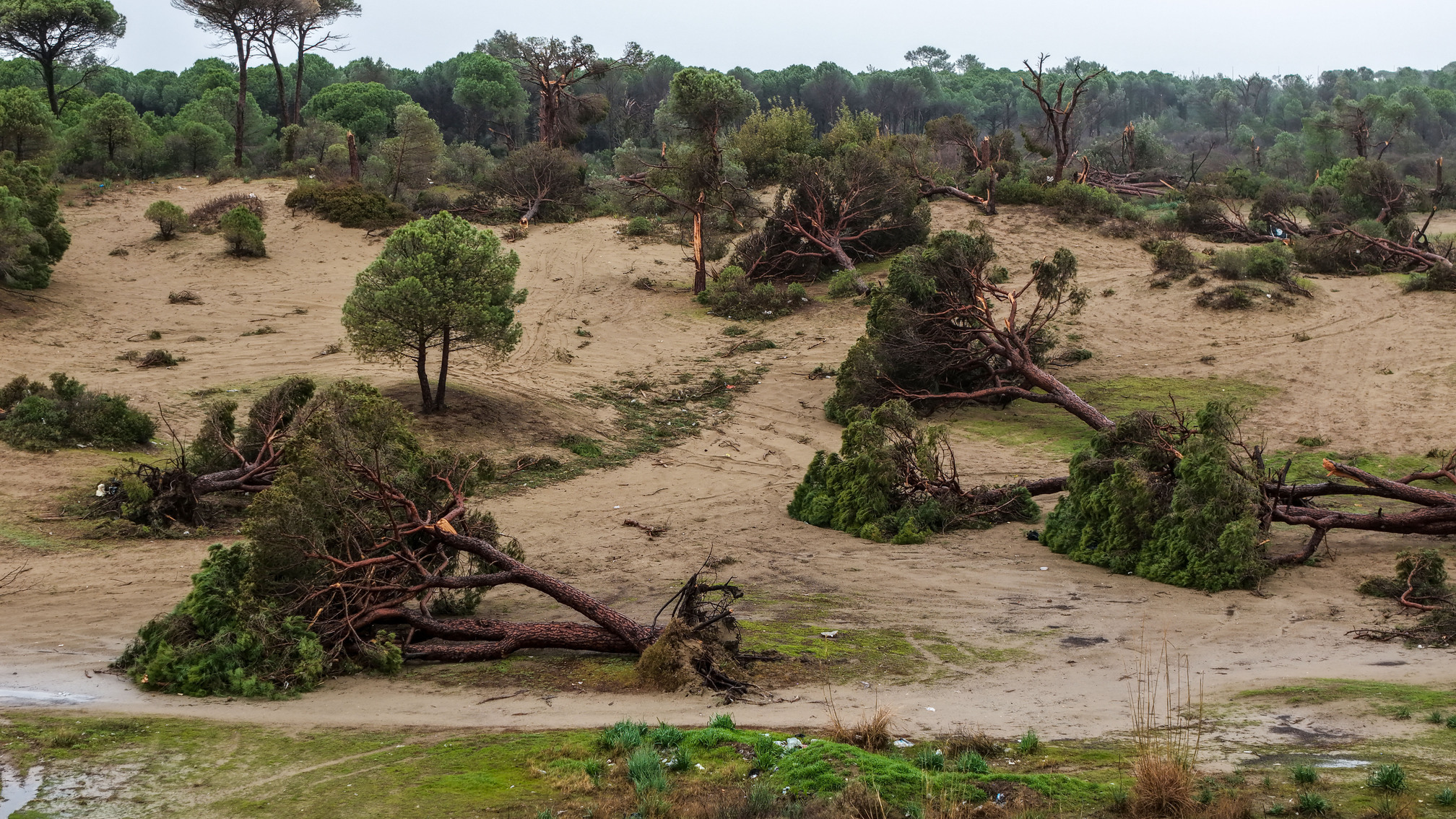 Antalya'da Hortum Sonrası Enkaz Kaldırılıyor; Su Ise Çekilmedi (6)