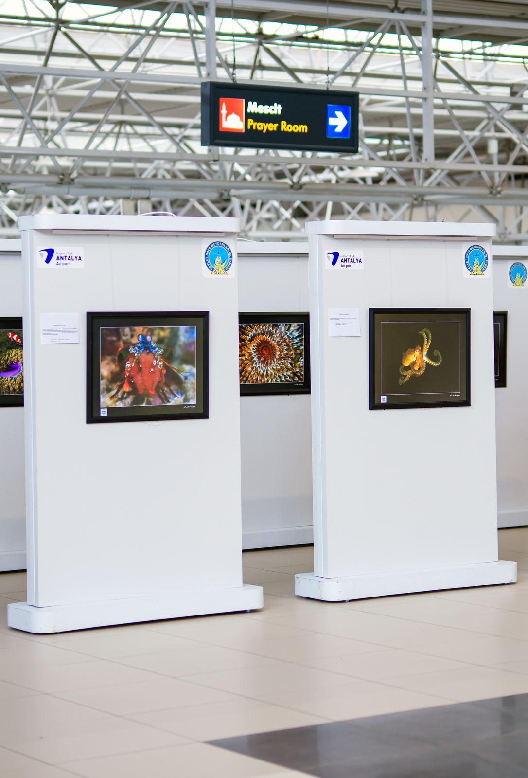 Antalya’da Kaptan'ın Seyir Defteri' Sualtı Fotoğraf Sergisi Açıldı (3)