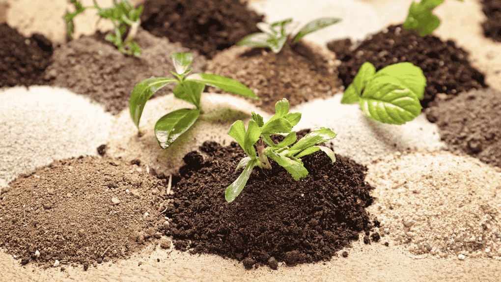 Antalya’da Yönetmelik Endişesi! 300 Gübre Üreticisinin 275’I Kapanacak (2)