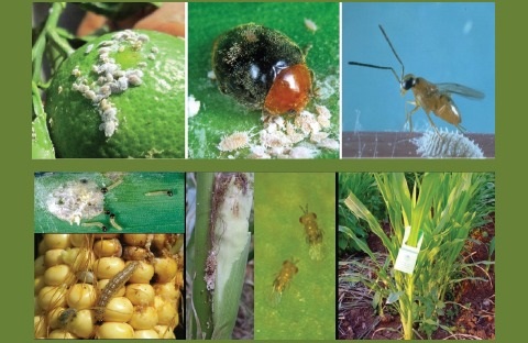 Antalya’daki Firma Hem Üreticiyi Hem Tüketiciyi Koruyor (2)