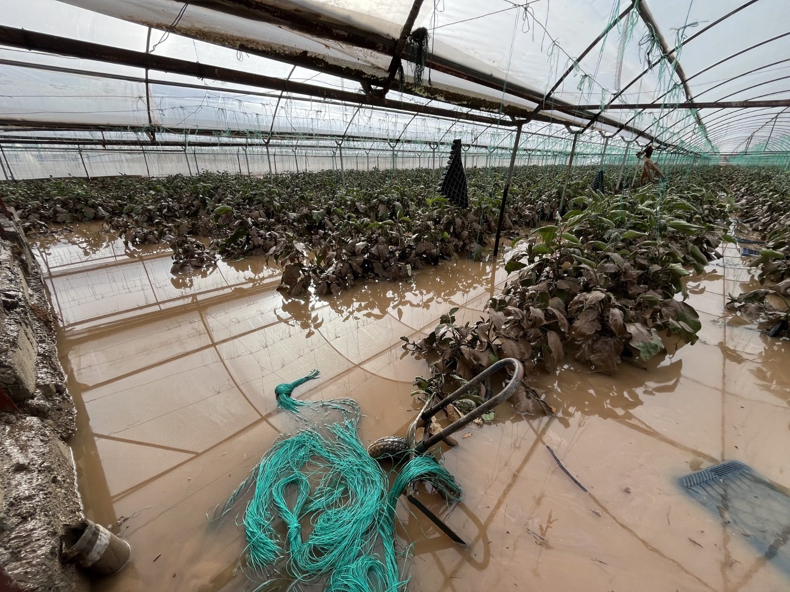 Antalya’daki Üreticilerden Devlet Yetkililerine Çağrı (2)