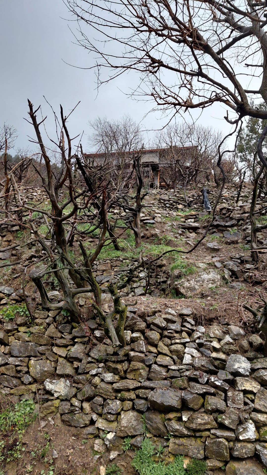 Antalya’nın Hayalet Mahallesi (1)