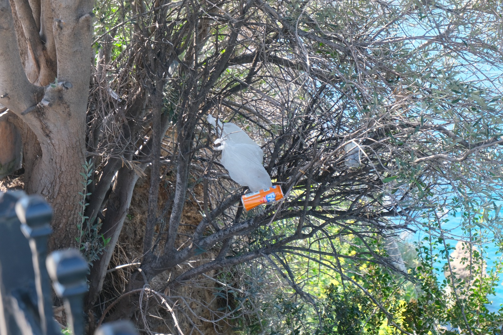 Antalya'nın Incisi Falez Park'ta Vurdumduymazlık Manzaraları (8)