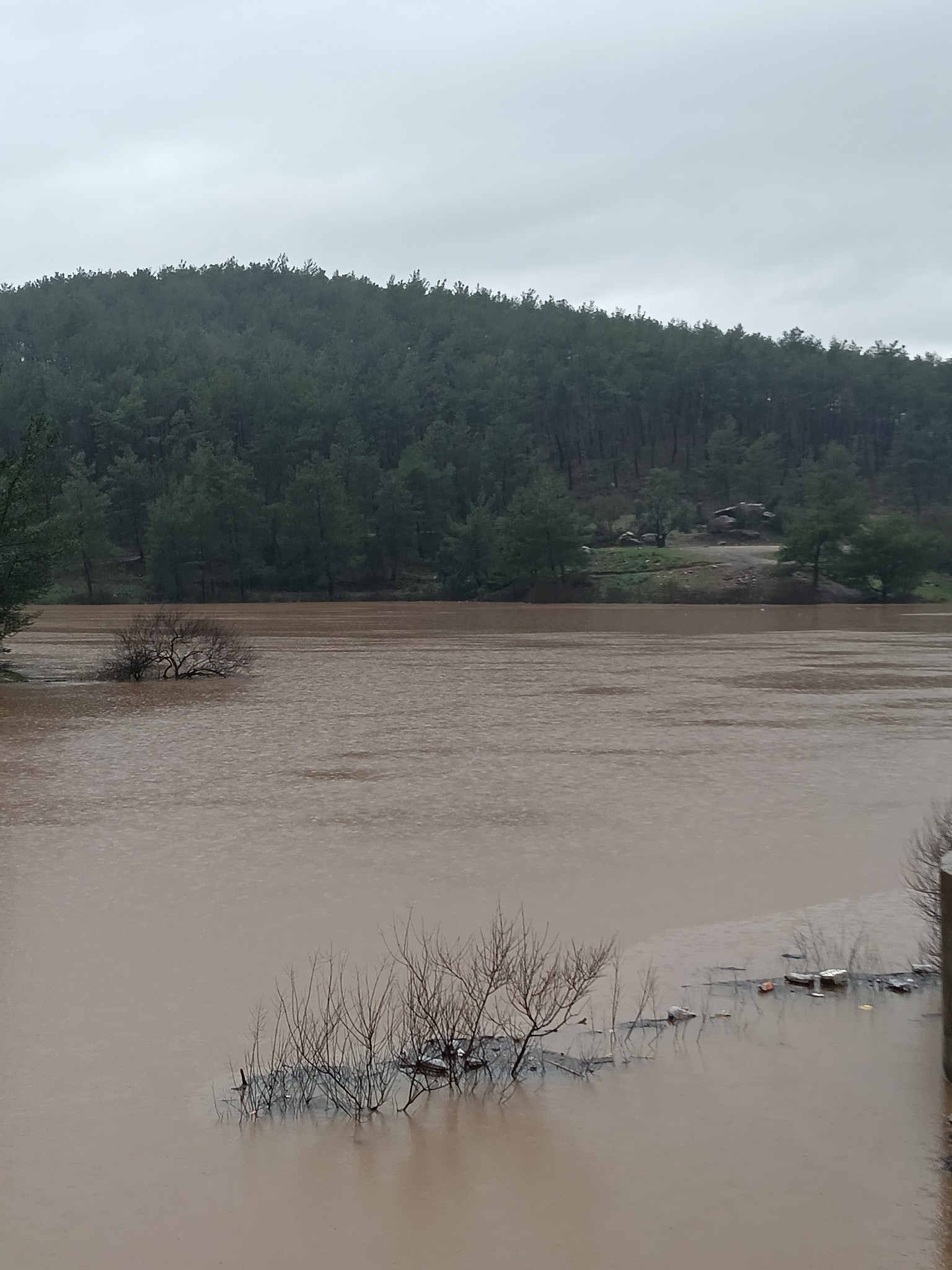 Antalya’nın Kuruyan Göleti Yeniden Canlandı (5)