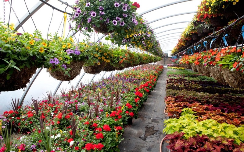 Antalya’nın Romantik Sektörünü Afet Vurdu (4)