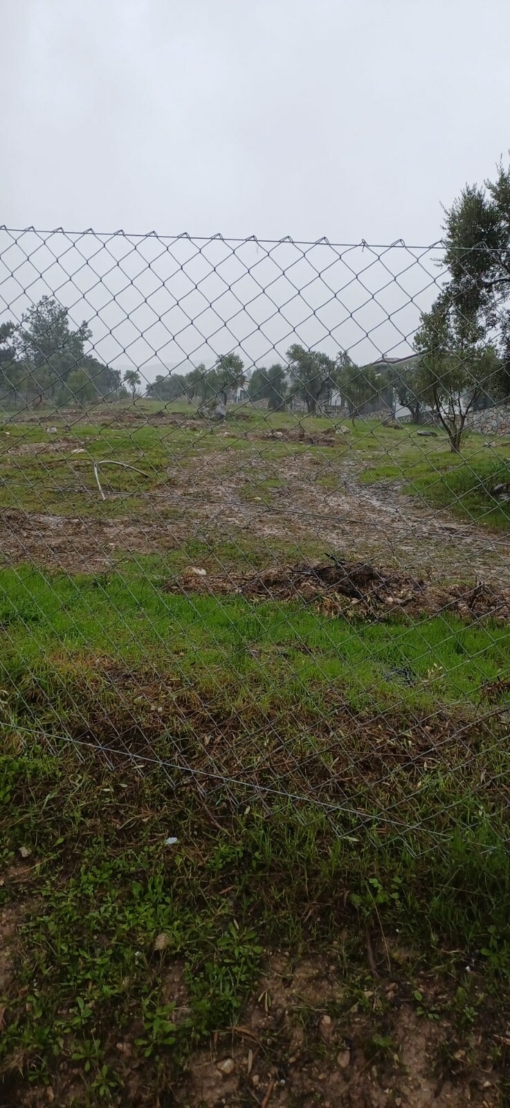 Chp Ilce Baskaninin Arazisine Sorusturma (2)