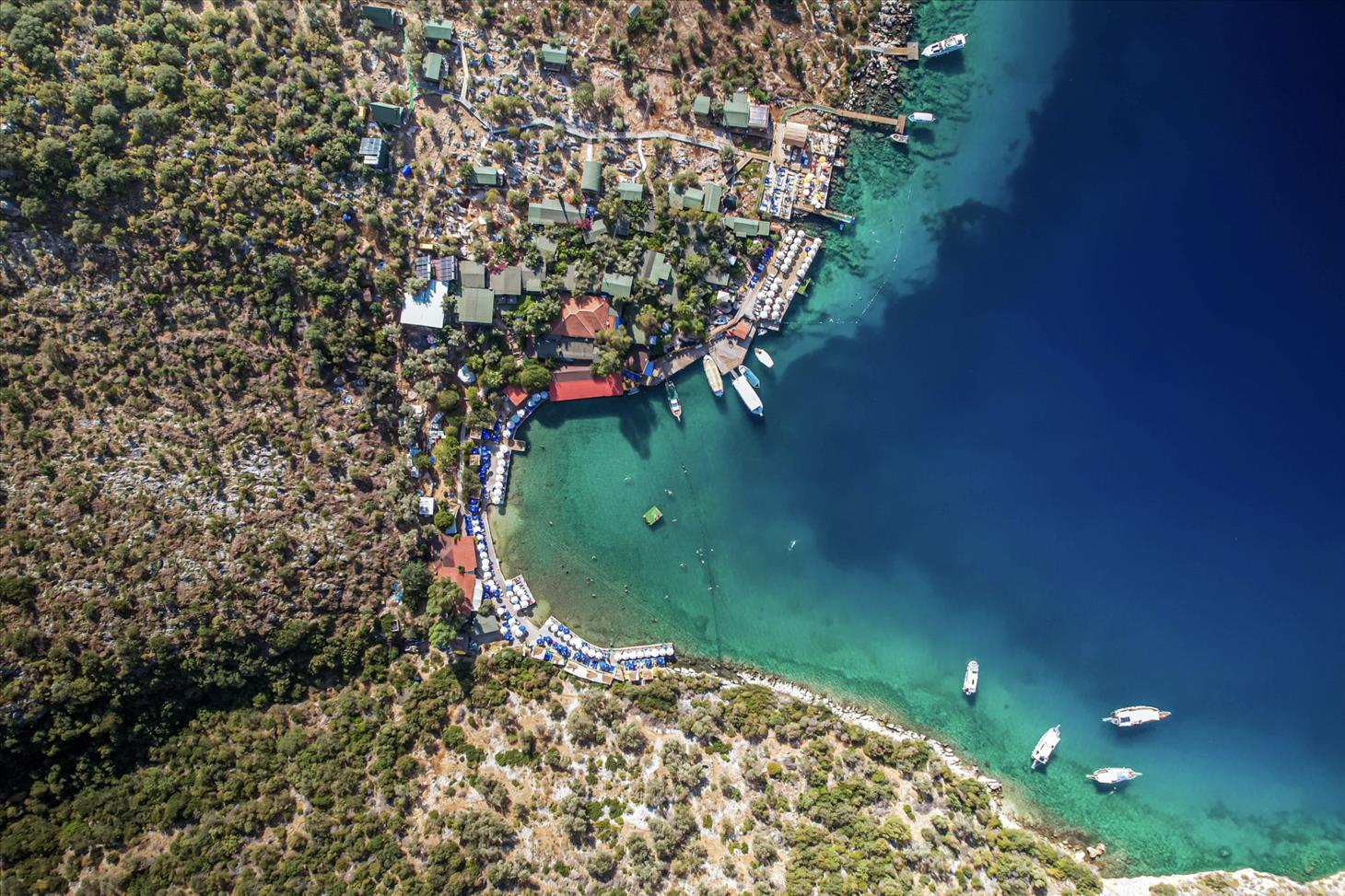 Doga Dernegi Limanagzi (1)-2